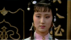 红楼梦曲 电视剧