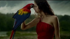 Someday,音乐短片 - 音乐风光片