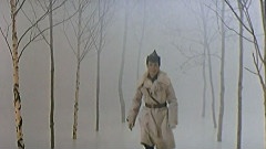 轻音乐 - 小路