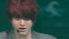 超新星 - Stupid Love