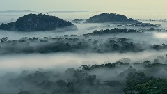 音乐短片,Enya - Prologue