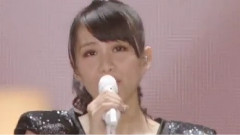 Perfume - Puppy Love