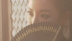 2NE1 - Intro & Fire