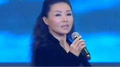 张迈 - 绿色背影