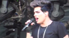 Adam Lambert - Whole Lotta Love
