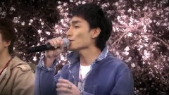 SMAP,Funky Monkey Babys - 桜