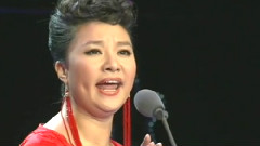 王丽达 - 黄河渔娘