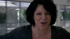 Grey's Anatomy Cast - The Story