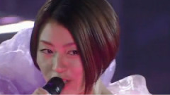 宇多田光 - Traveling Wild Life