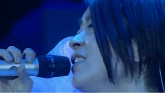 宇多田光 - Colors Wild Life