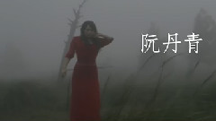 飞了