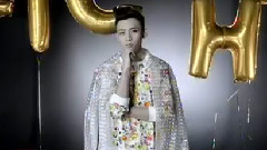 魏晨 - 2013
