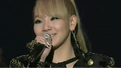 2NE1 - 最佳音乐电视作品奖