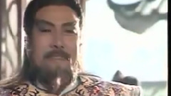 叶丽仪 - 碧血丹心