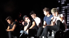 One Direction - Last First Kiss
