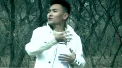 一只蝴蝶