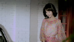 华语群星 - 莲藕心