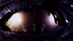 Pure Bathing Culture - Dream The Dare