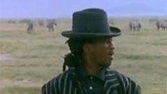 Aswad - Set Them Free
