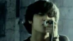 Callalily - Stars