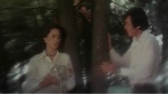 凤飞飞 - 过去的点点滴滴