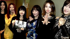 T-ara - Gobal Messenger T-ARA的感谢视频