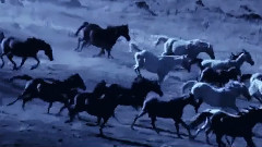 Andre Rieu - Bolero