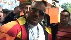 Halt Die Freese