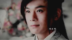 乔振宇 - 再生花