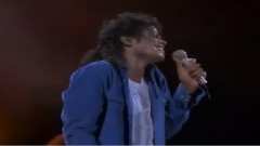 Michael Jackson - Man In The Mirror