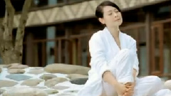 刘若英 - 乌镇