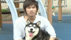 东方神起 - All About Season3