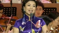 张也 - 走进新时代
