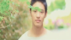 群星 - 无奈相思泪