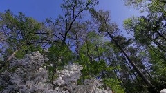 音乐短片,风景 - 踏春