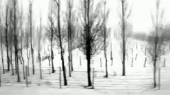 Leonard Cohen - Waiting For The Miracle