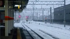 模仿翻唱,德永英明 - なごり雪 饭制版