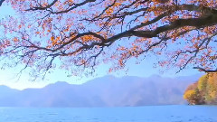 音乐短片,风景 - 俄罗斯风格的法国慢摇