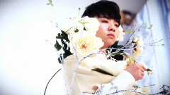 华晨宇 - 0207庆生华晨宇后援会应援视频