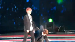 EXO,EXO-K,EXO-M - Wolf