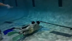 Underwater Hockey