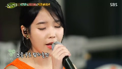 IU - 仲夏夜之梦