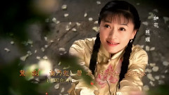 金池,影视原声 - 如花