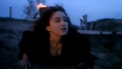 Madonna - The Queen Of Pop Megamix
