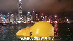 王菀之 - 鸭真的受伤了