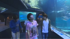 Infinite,Infinite-H,金圣圭(Infinite),南优贤(Infinite),韩国综艺 - 釜山游记未公开视频 Part4 X- FILE 水族馆篇 13/03/09