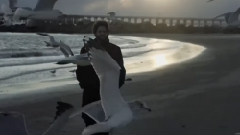 欧美群星 - Memories & Birds