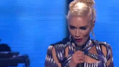No Doubt - Spiderwebs