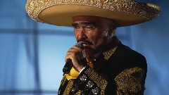 Vicente Fernández - No Vuelvo A Amar