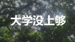 原创 - 大学没上够
